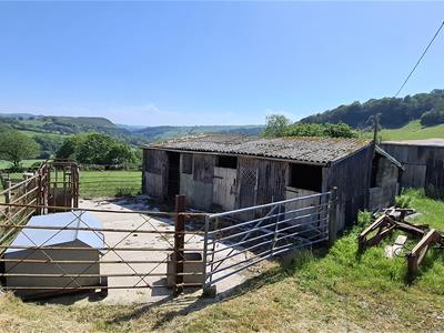 Picture 16